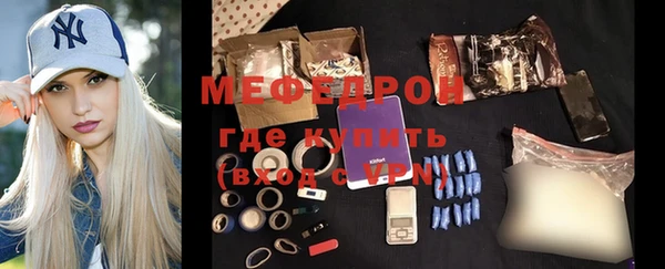 амф Ельня