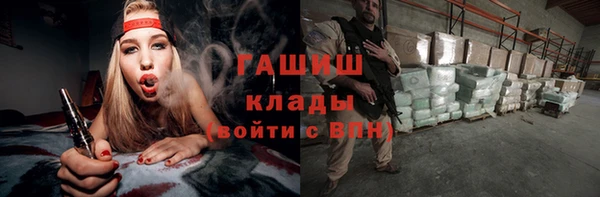 амф Ельня