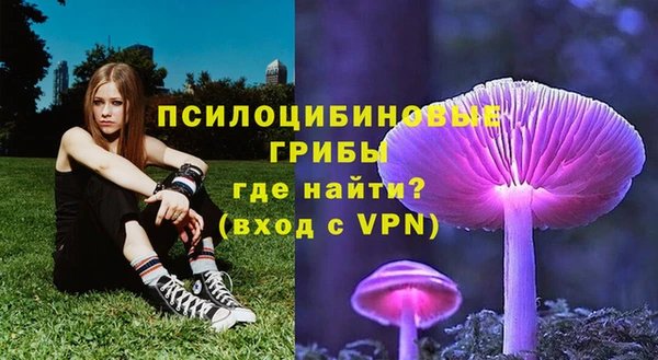 a pvp Заволжск