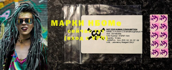 амф Ельня