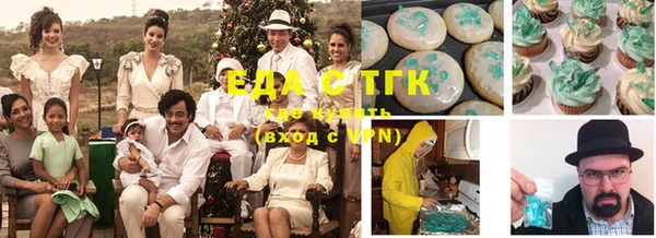 амф Ельня
