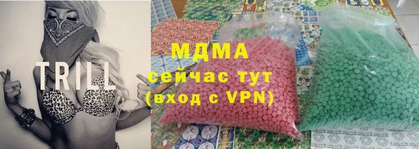 амф Ельня