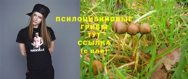 скорость Заволжье