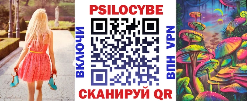 Галлюциногенные грибы Psilocybe Керчь